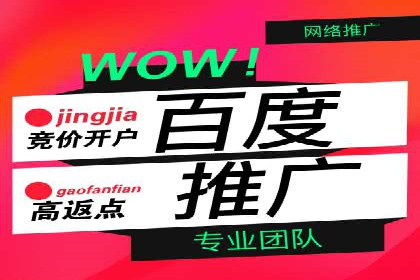 百度推广助力企业拓展海外市场案例