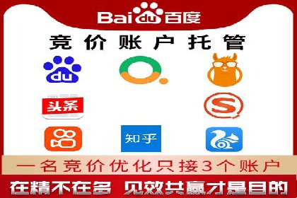 某电商平台SEM竞价广告的转化率提升案例